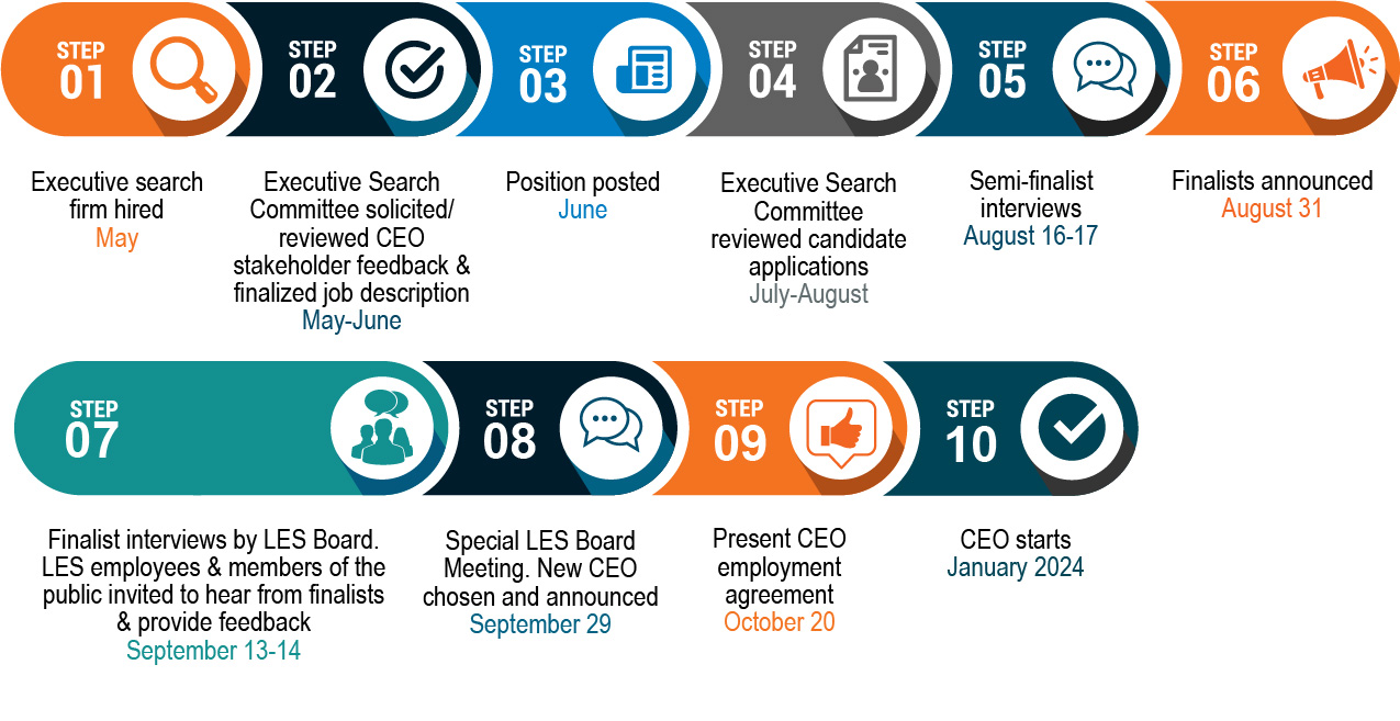 CEO search process timeline