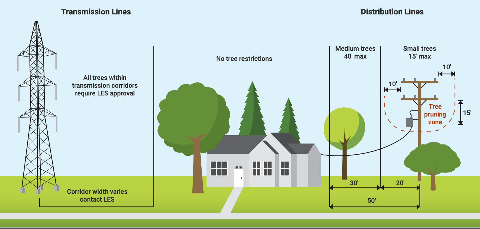 Right tree, right place visual diagram
