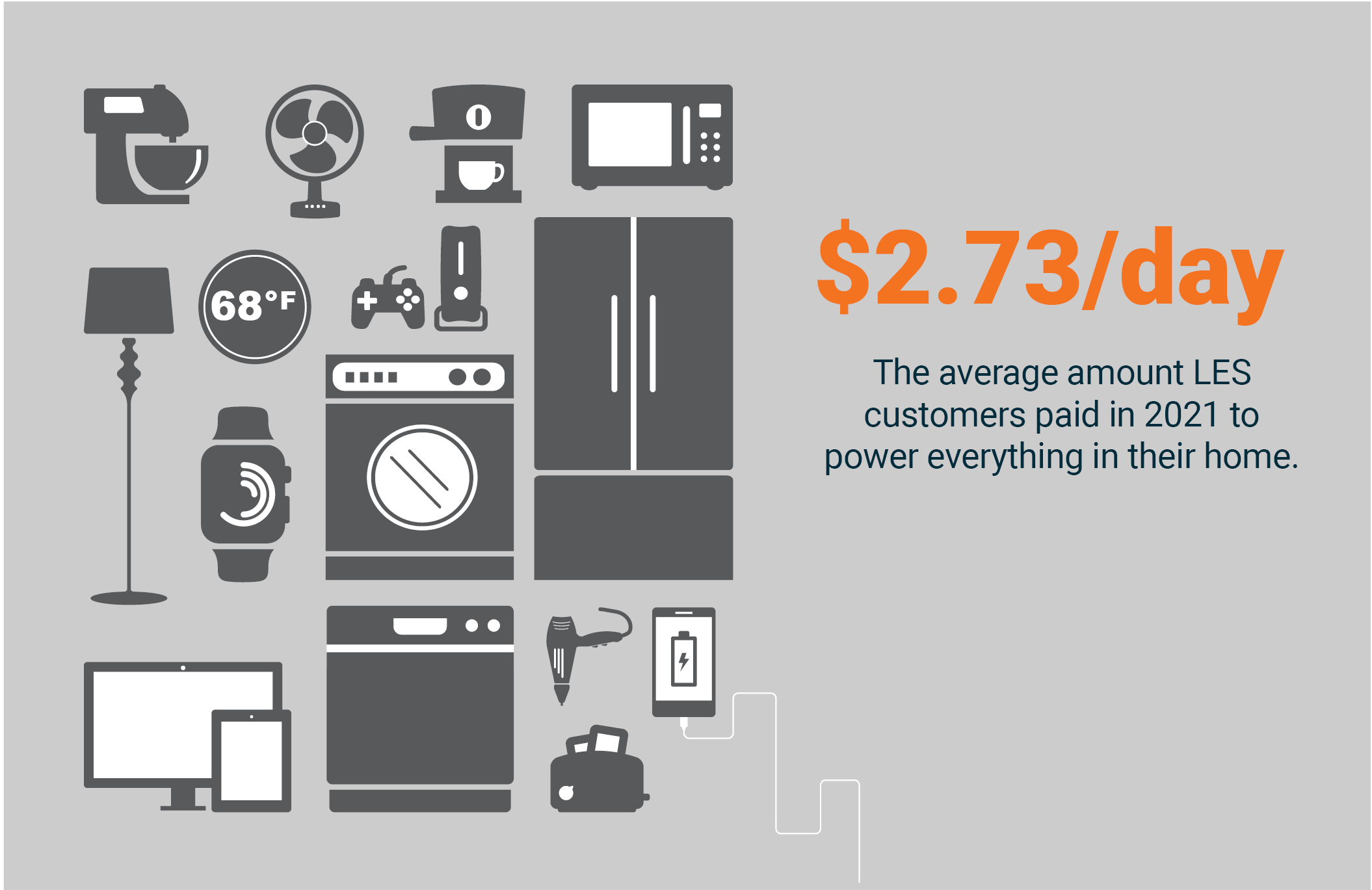 $2.73 per day is the average amount LES customers paid in 2021 to power everything in their home