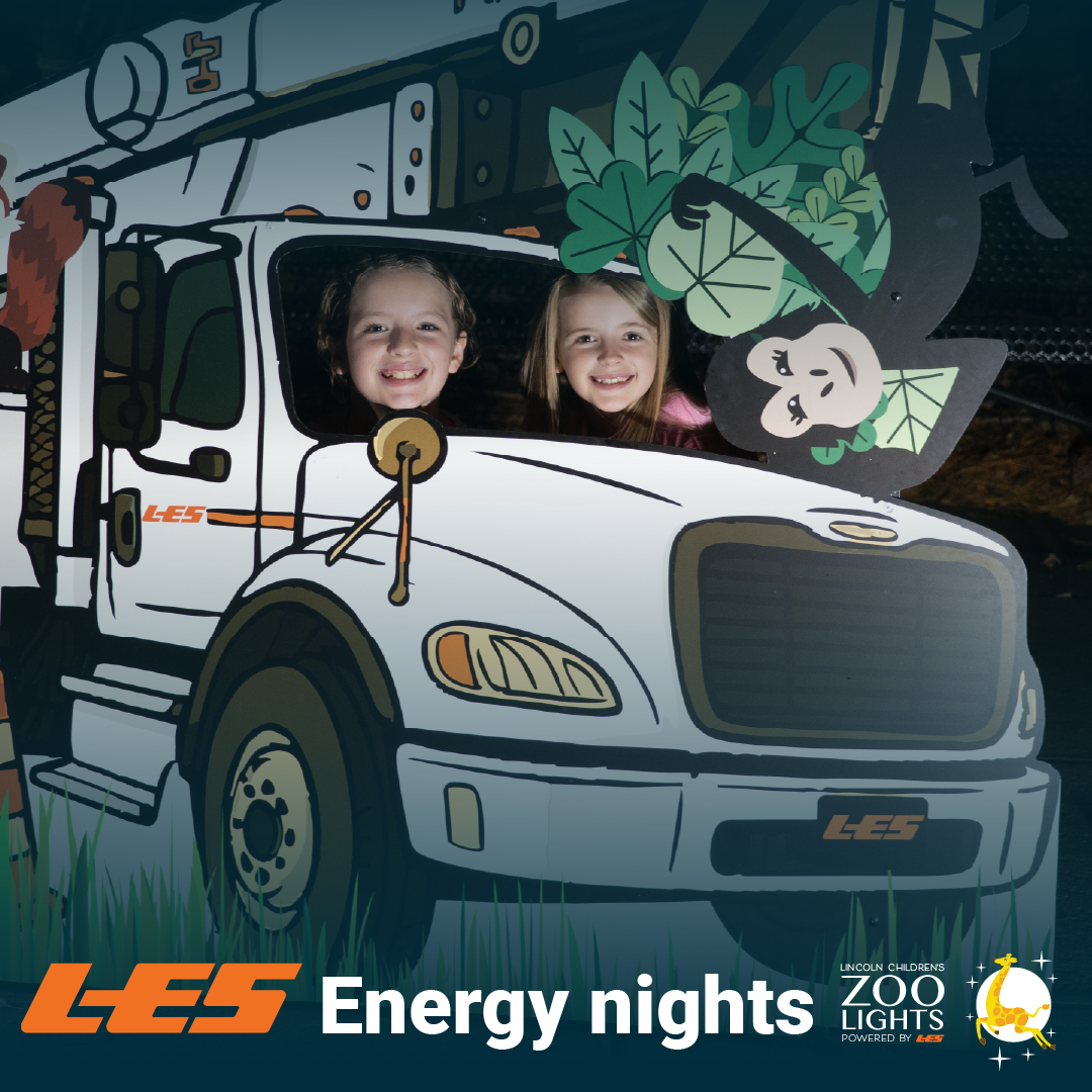 Graphique de nuit de l'énergie