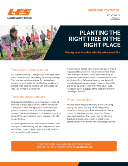 Planting the right tree in the right place