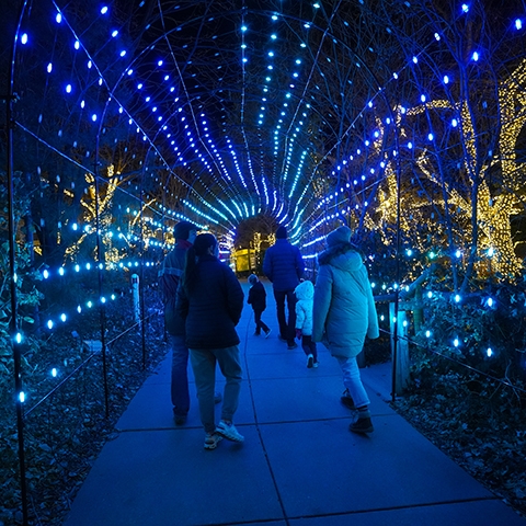 Zoo Lights Powered by LES
