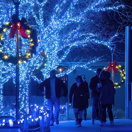Zoo Lights Propulsé par LES