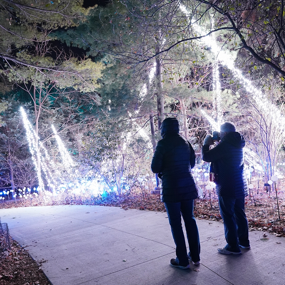 Zoo Lights Propulsé par LES