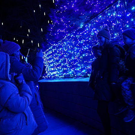 Zoo Lights Propulsé par LES
