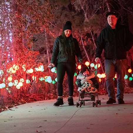 Zoo Lights Propulsé par LES