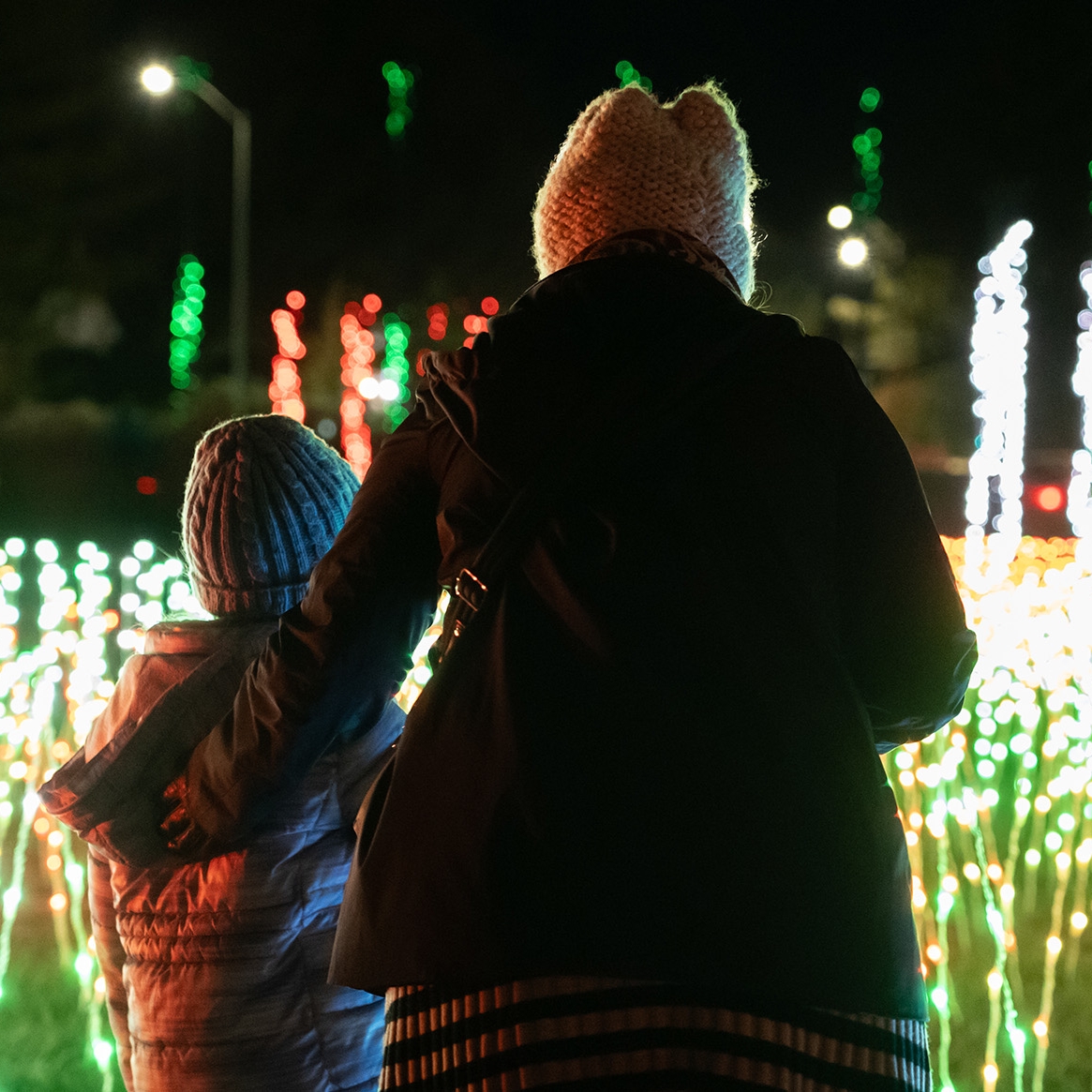 Un fils et sa mère regardent le spectacle de lumières de Zoo Lights, présenté par LES.