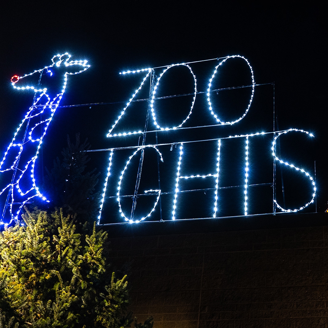 Panneau Zoo Lights à Zoo Lights, alimenté par LES