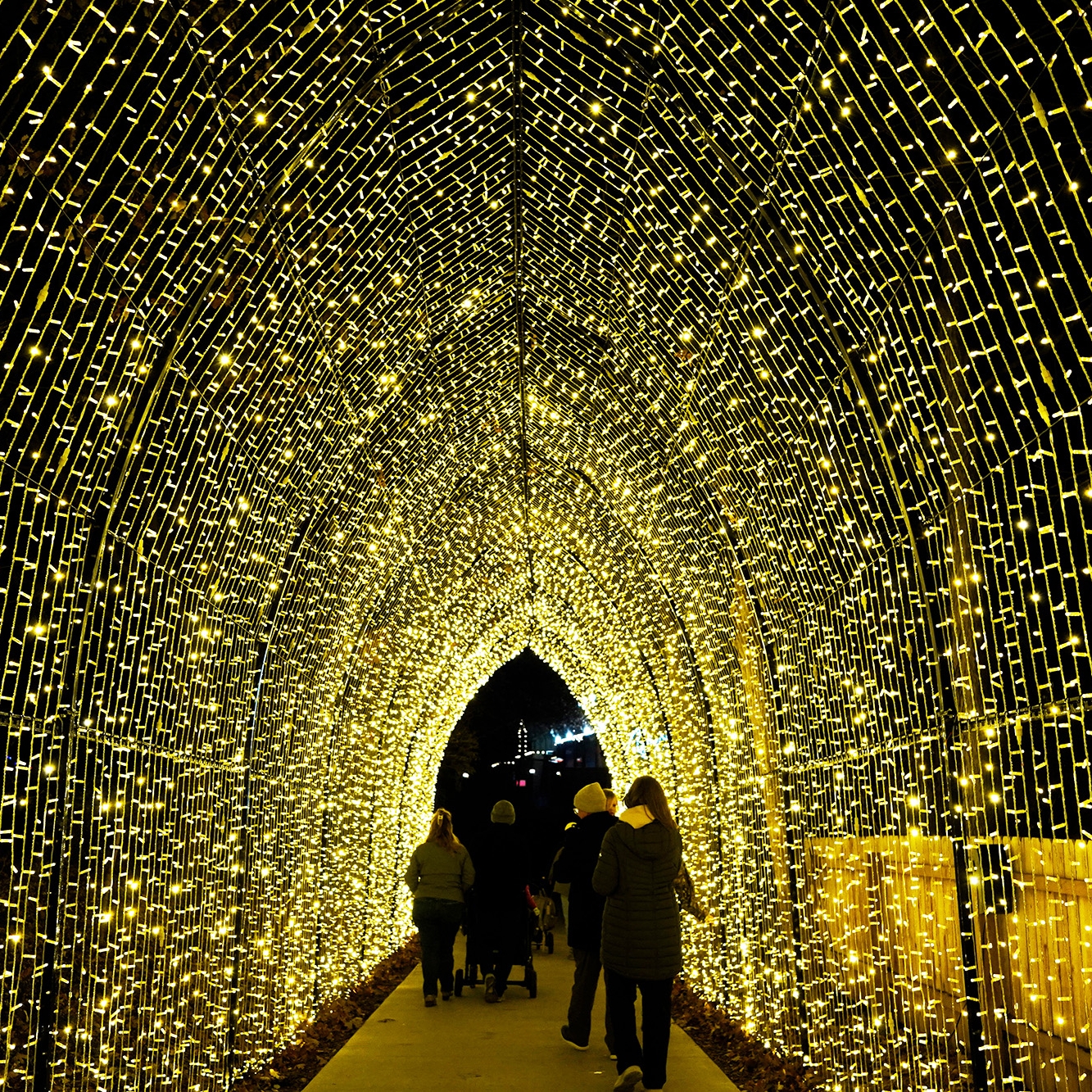 Zoo Lights Propulsé par LES